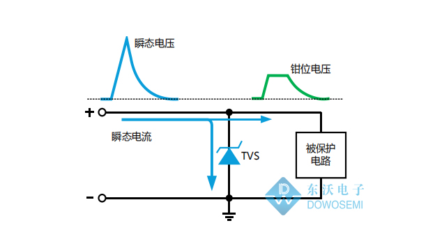 TVS二極管.JPG